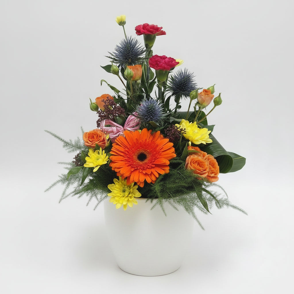 Pot Arrangement | Jazzy