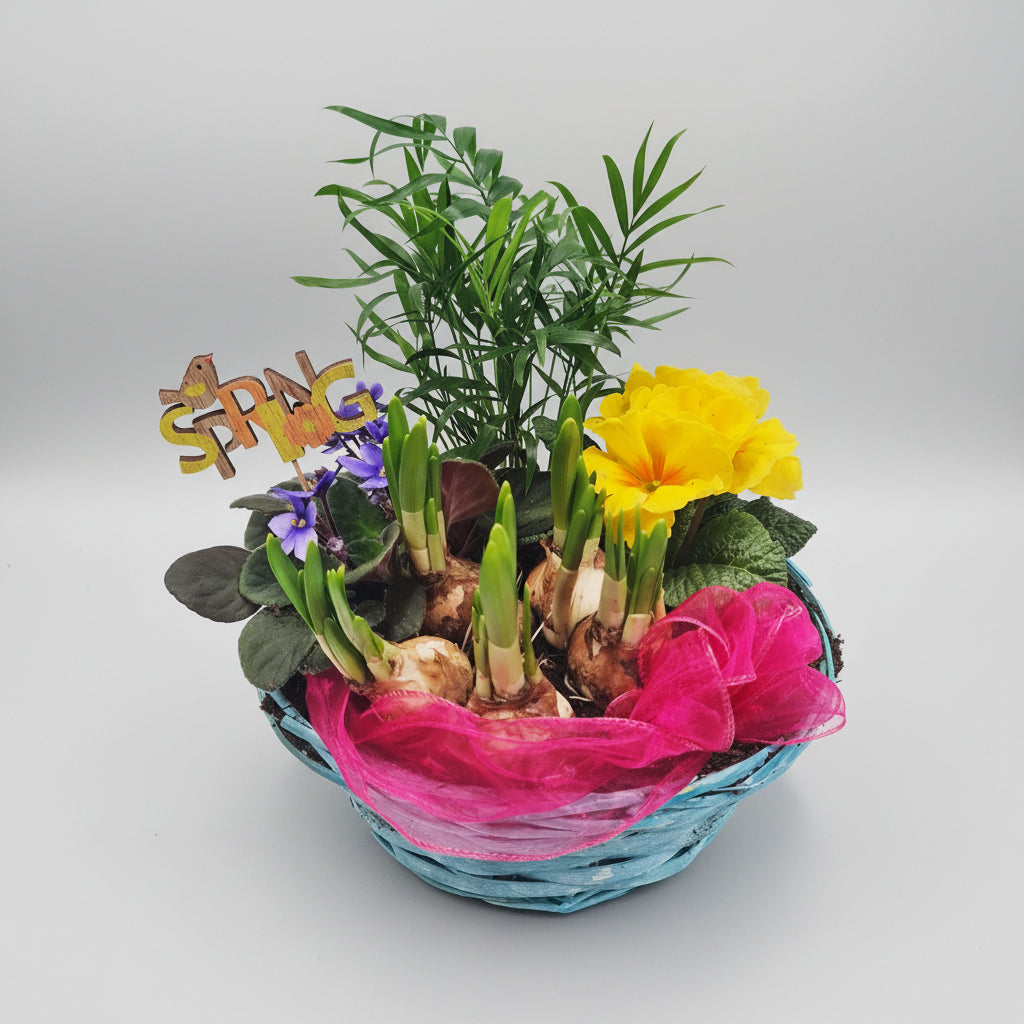 Planted Basket | Spring