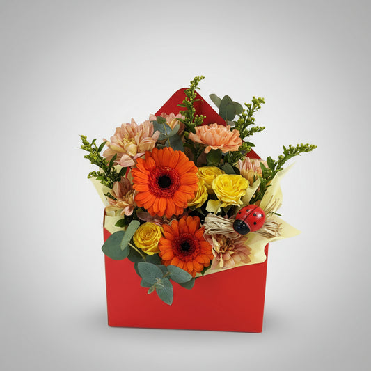 Envelope | Sunset Messages