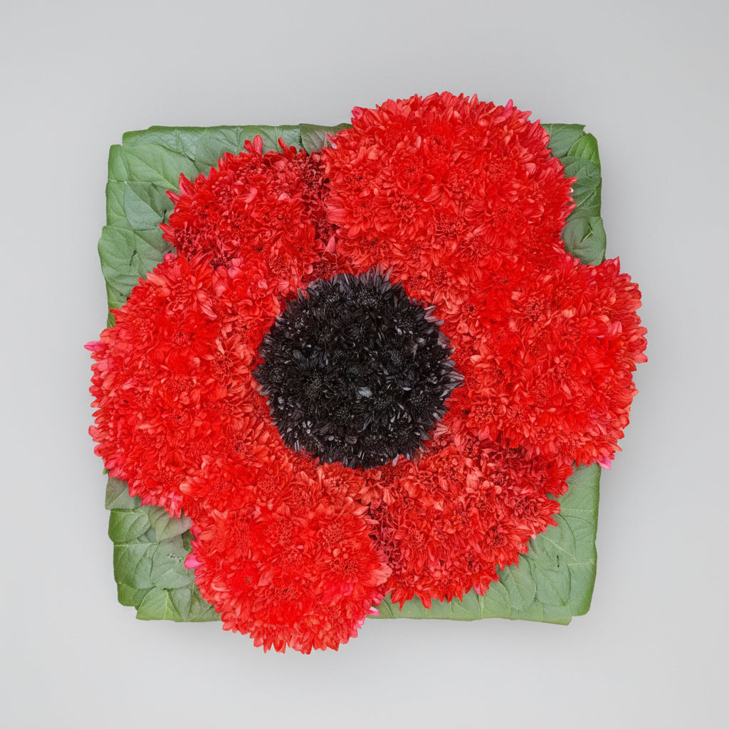 Lest We Forget - Poppy Tribute Funeral Tribute
