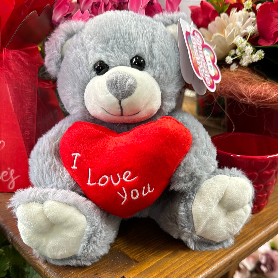 Teddy Bear | Red I Love You