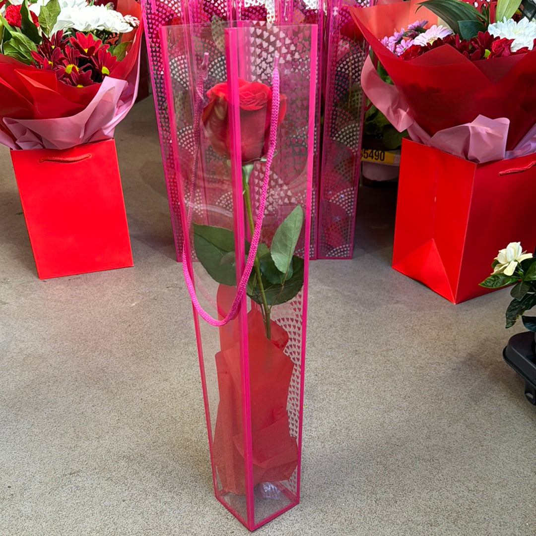 Cute Rose Gift