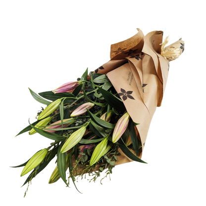 Eco | Oriental Lilies