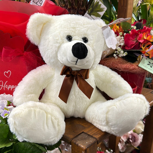 Teddy Bear | Cream Bear
