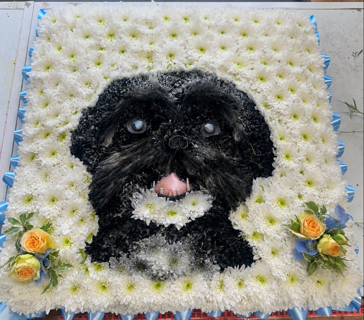 Bespoke Tribute | Dog