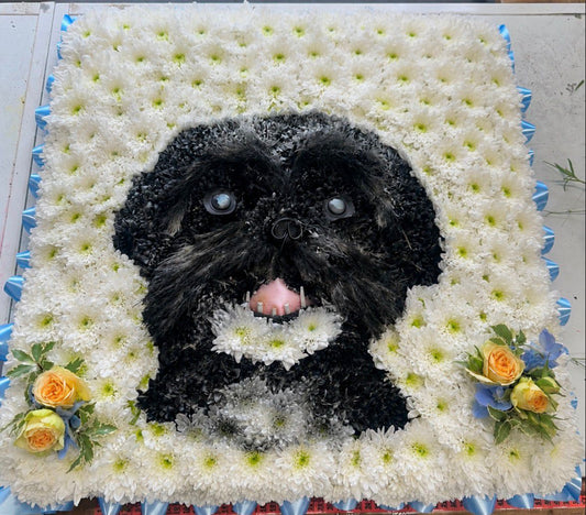 Bespoke Tribute | Dog