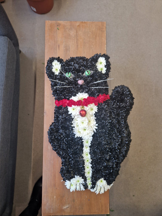Black Cat Tribute