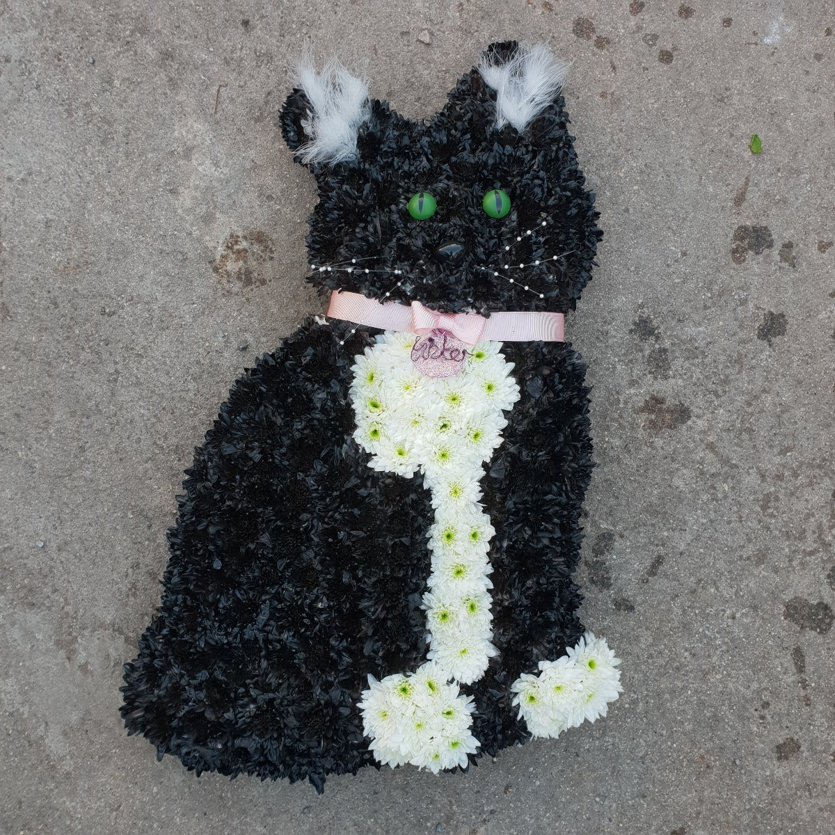 Black Cat Tribute Funeral Tribute