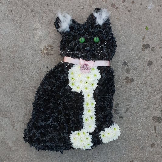Black Cat Tribute Funeral Tribute