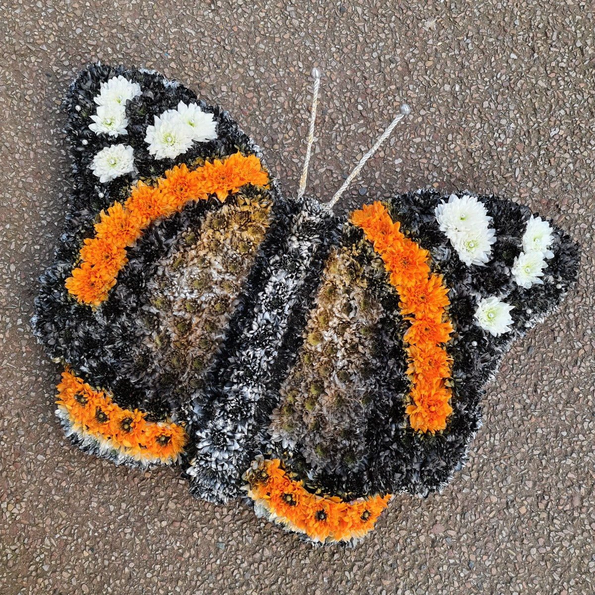 Red Admiral Butterfly Tribute Funeral Tribute