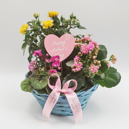 Planted Basket | Mum's Mini Garden