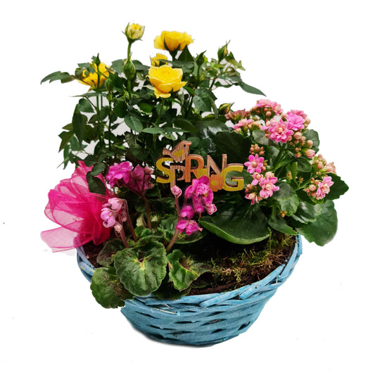 Spring Planted Basket