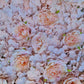Blush Flower Wall