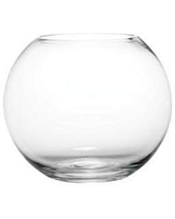 Glass Fishbowls