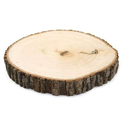 Wooden Log Slices