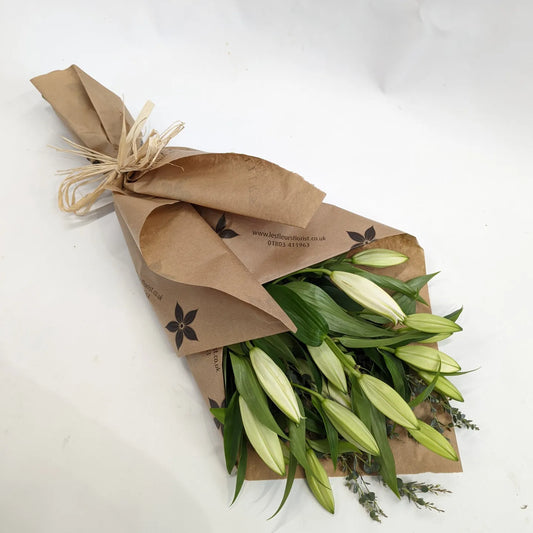 Eco | Oriental Lilies