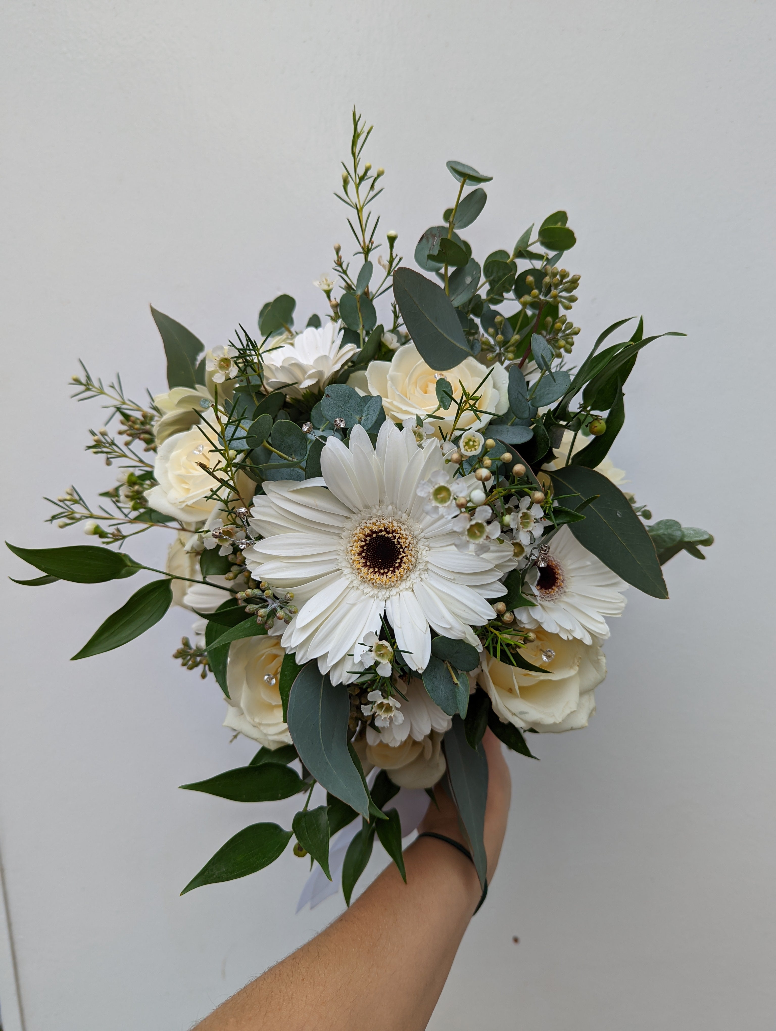 White gerbera deals