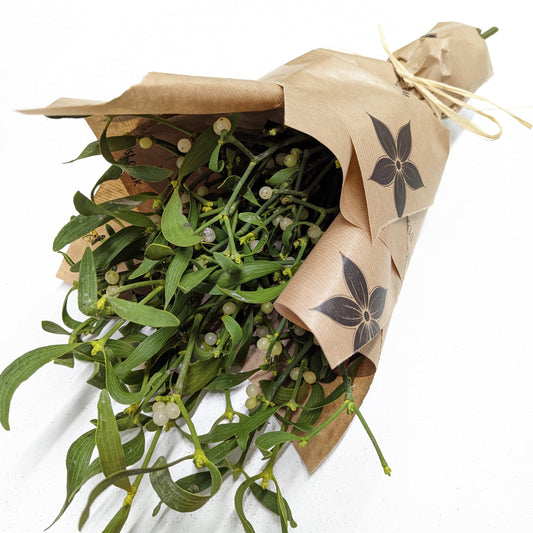 Christmas Mistletoe Gift: Preorder For December 10th