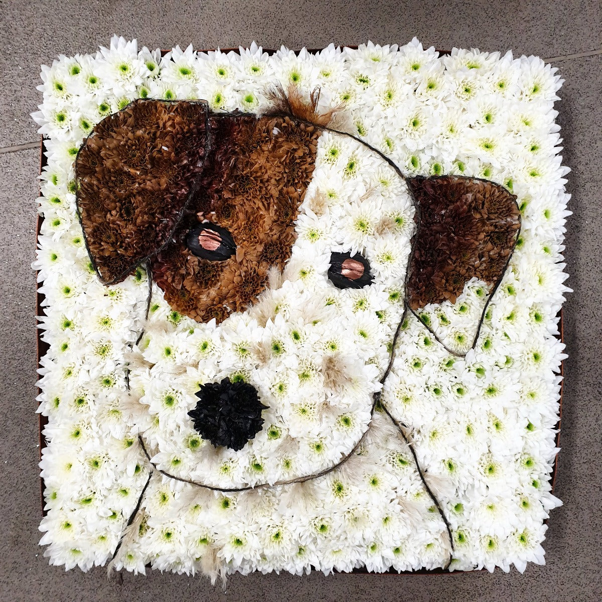 Dog Tribute Funeral Tribute
