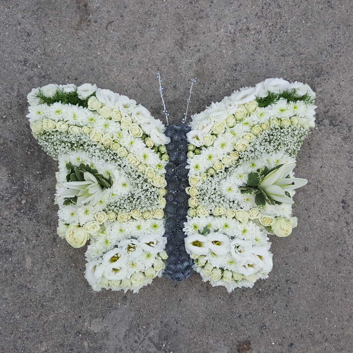 Julia's Butterfly Tribute Funeral Tribute