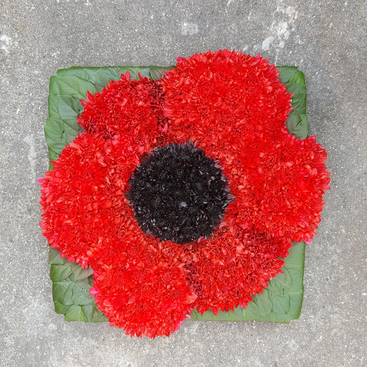 Lest We Forget - Poppy Tribute Funeral Tribute